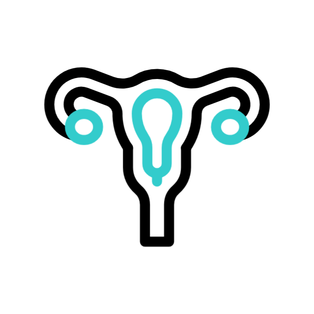 Gynaecology Icon