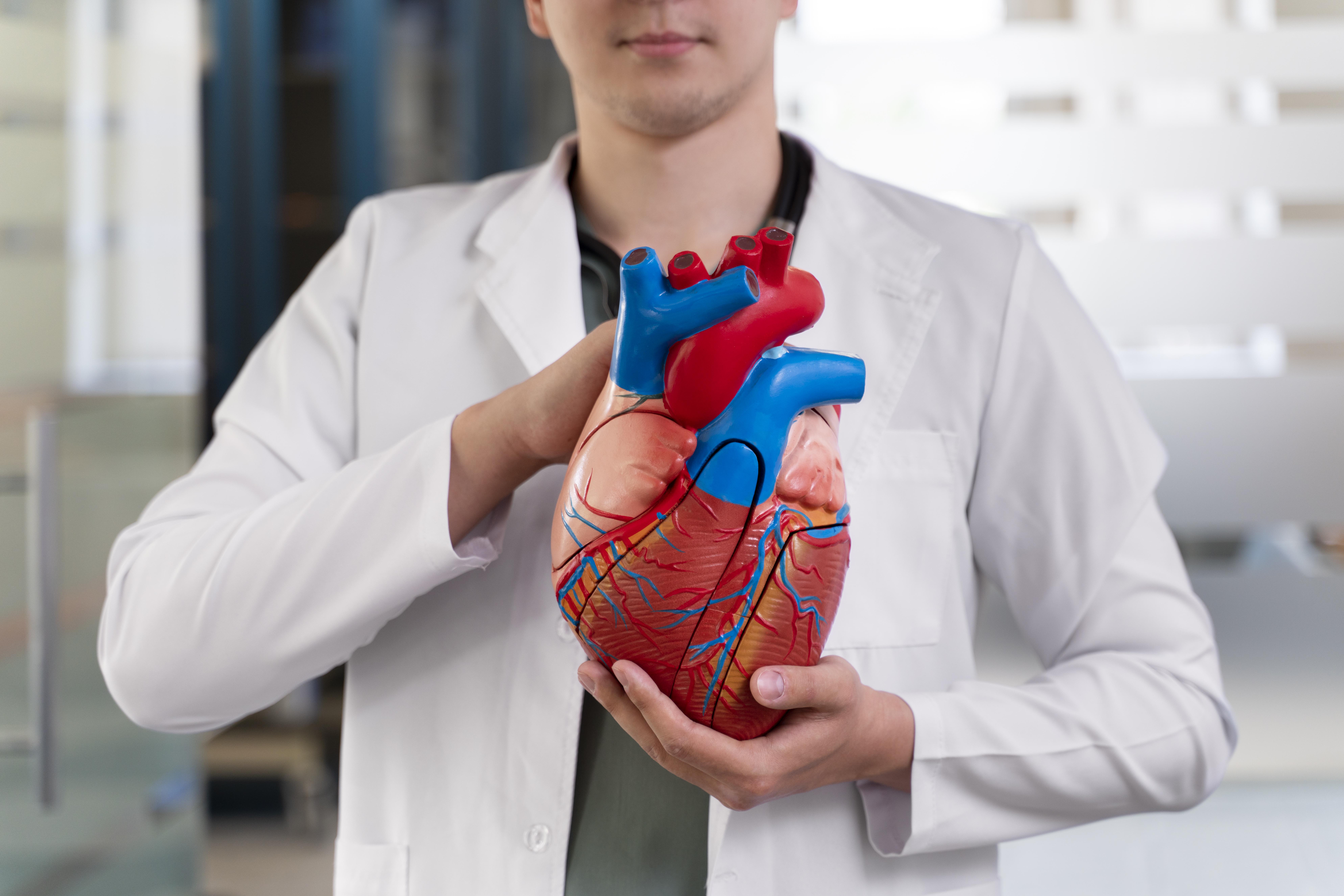 How to Avoid Cardiac Risk: A Guide to a Healthy Heart